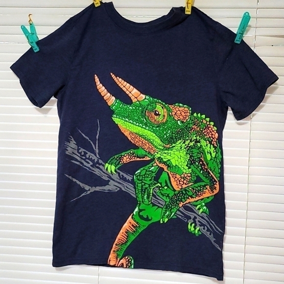 𝅺Cat & Jack boys XL(16) t-shirt 🦎 Iguana/Lizzard - Picture 1 of 3
